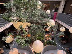 -馋嘴猫北京食堂·烤鸭·宵夜(亚运村店)