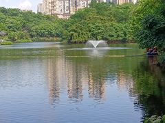-重庆彩云湖湿地公园