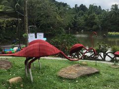 -呀诺达热带雨林