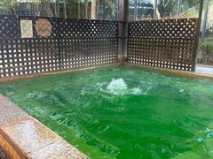 -春晖园度假酒店温泉