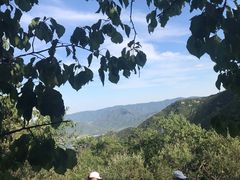 -阳台山自然风景区