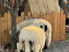 -HERRE·FARM 赫尔露营农场·团建聚会包场