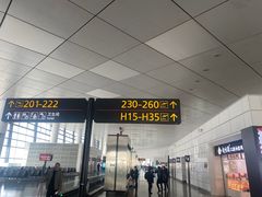 -郑州新郑国际机场-T2航站楼