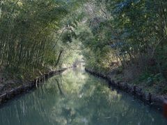 -同里国家湿地公园