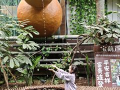 -呀路古热带植物园