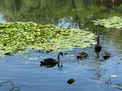 -东来顺铜锅炭火涮肉(上地华联店)