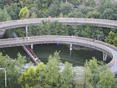 -福道