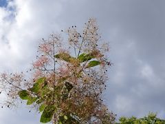 -北宫国家森林公园
