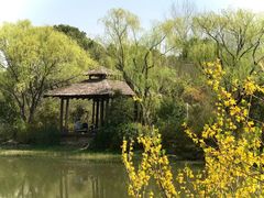 -新江湾城公园