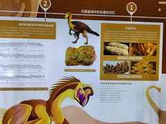 -西峡恐龙遗迹园