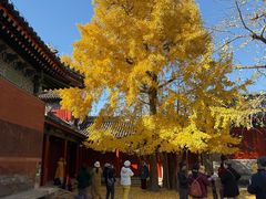 -承恩寺