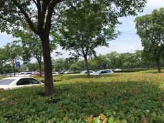 -顾村公园3号门停车场