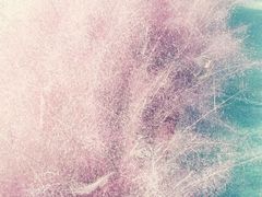 -羊亭河湿地公园