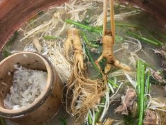 人参滋补鸡-朴小妹人参鸡汤火锅(长白山万达店)