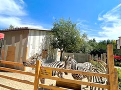 -水上乐园·欢乐世界