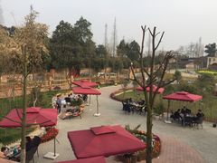 -森居forest休闲咖啡聚集地