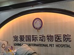 -宠爱国际动物医院·消化内科·心肾内科·ISFM猫友好(望京店)