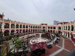 -奇幻丛林(佛罗伦萨小镇店)