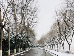 -太阳岛度假酒店