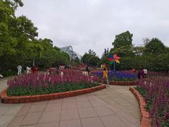 -南山植物园