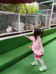 -可可天空农场(中大店)