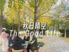 -月湖风景区
