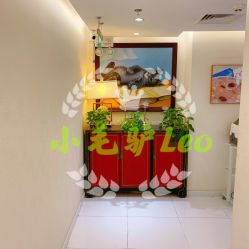 -咪咪比基尼脱毛专业店