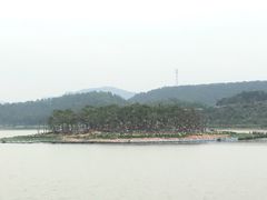 -美的鹭湖森林度假区