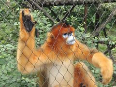 -哈尔滨北方森林动物园