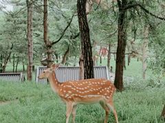 -承德避暑山庄景区