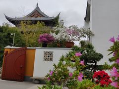 -龙华寺