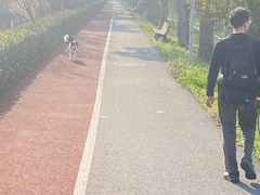 -上海长兴岛郊野公园