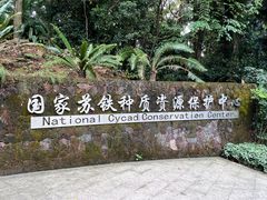 -深圳仙湖植物园