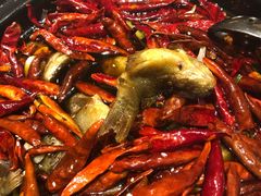 -丹江渔村(望京店)