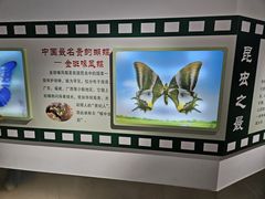 -上海昆虫博物馆