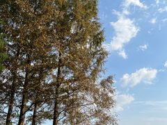 -渤公岛生态公园