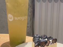-Wagas沃歌斯(汇智店)