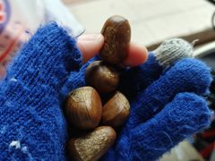 -阿男野栗王(金门路店)