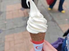 -富豪雪糕车流动点(尖沙咀店)