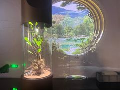 -中国湿地博物馆