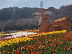 -苏州上方山国家森林公园