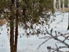 -森林公园(尖草坪区)