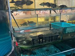 -凤兴鸡煲(宝安海雅店)