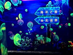 -成都浩海立方海洋公园