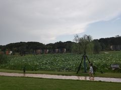 -上海怡沁园度假酒店