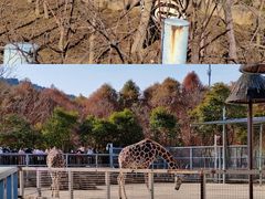 -上方山森林动物世界