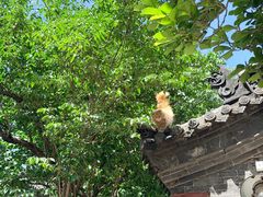 -晋祠博物馆