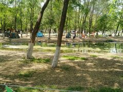 -长白岛森林公园