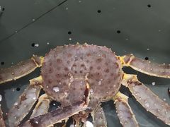 -欧记·龙城港(欣都店)
