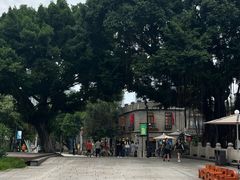 -三坊七巷历史文化街区